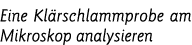 Eine Kla rschlammprobe am Mikroskop analysieren