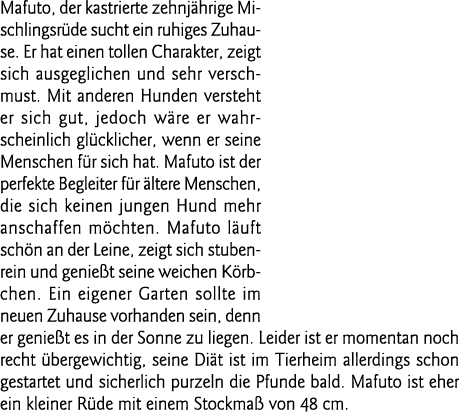 Mafuto, der kastrierte zehnjährige Mischlingsrüde sucht ein ruhiges Zuhause  Er hat einen tollen Charakter, zeigt sic   