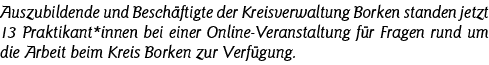 Auszubildende und Beschäftigte der Kreisverwaltung Borken standen jetzt 13 Praktikant*innen bei einer Online-Veransta   