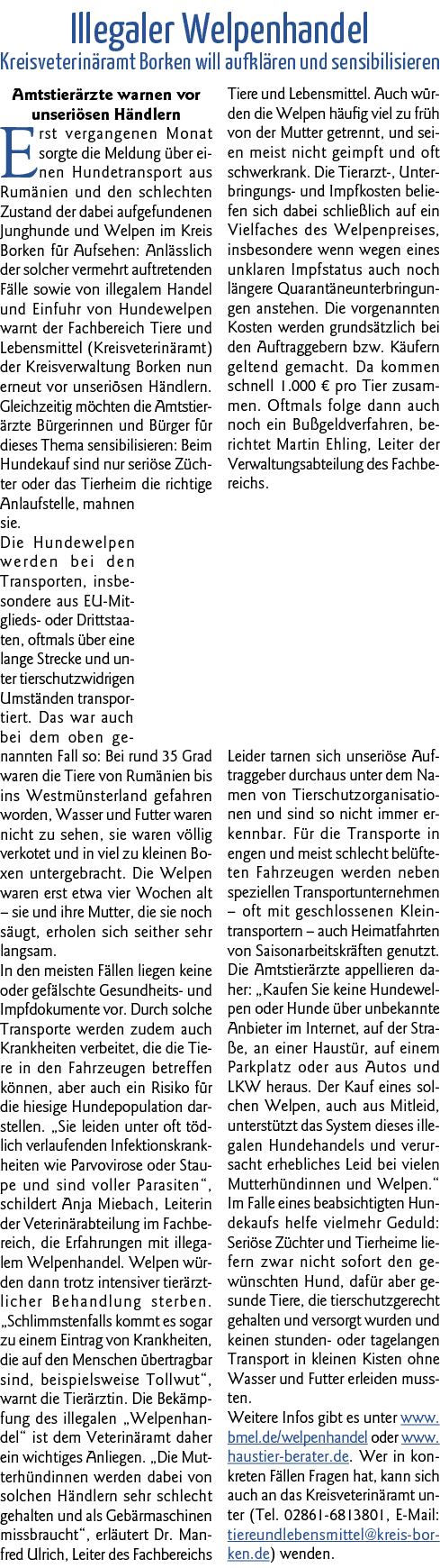 Illegaler Welpenhandel Kreisveterinäramt Borken will aufklären und sensibilisieren Amtstierärzte warnen vor unseriöse   