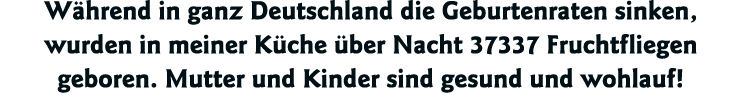Während in ganz Deutschland die Geburtenraten sinken, wurden in meiner Küche über Nacht 37337 Fruchtfliegen geboren     