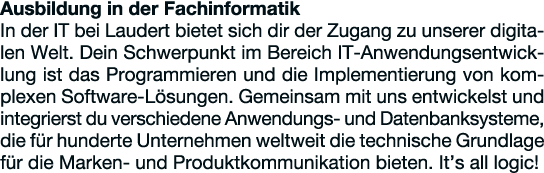 Ausbildung in der Fachinformatik In der IT bei Laudert bietet sich dir der Zugang zu unserer digitalen Welt  Dein Sch   