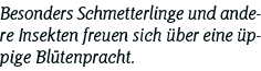 Besonders Schmetterlinge und andere Insekten freuen sich über eine üppige Blütenpracht 